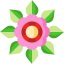 Flower icon 64x64