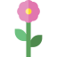 Flower icon 64x64