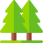Pine Ikona 64x64