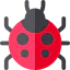 Ladybug Ikona 64x64