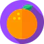 Tangerine icon 64x64