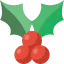 Holly アイコン 64x64