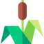 Bulrush icon 64x64