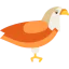 Eagle icon 64x64