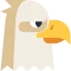 Eagle icon 64x64