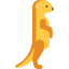 Meerkat 图标 64x64