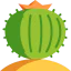 Cactus 图标 64x64