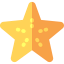 Starfish icon 64x64