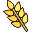 Wheat icon 64x64