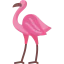 Flamingo 상 64x64