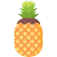 Pineapple アイコン 64x64