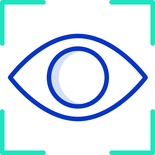 Vision icon