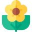 Flower 图标 64x64