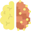 Brain icon 64x64