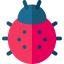 Ladybug 图标 64x64