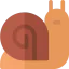 Snail 图标 64x64