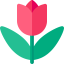 Tulip 图标 64x64