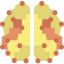 Brain icon 64x64