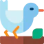 Bird 图标 64x64