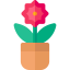 Plant 图标 64x64