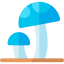 Mushroom 图标 64x64