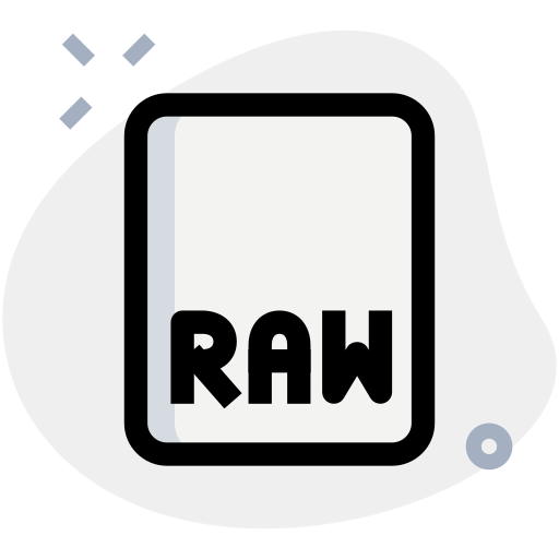 Raw format 상