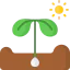 Plant 图标 64x64