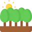Forest 图标 64x64