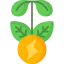 Bio energy 图标 64x64