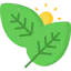 Leaves 图标 64x64