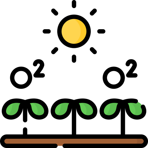 Oxygen icon