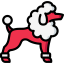 Poodle アイコン 64x64