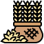 Barley icon 64x64