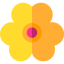 Flower 상 64x64