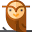 Owl biểu tượng 64x64