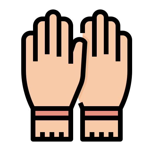 Gloves icon