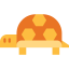 Turtle icon 64x64