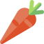 Carrot ícono 64x64