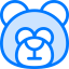 Bear icon 64x64
