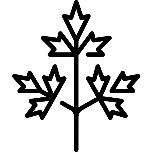 Parsley biểu tượng