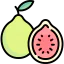 Guava Ikona 64x64