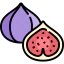 Fig Ikona 64x64