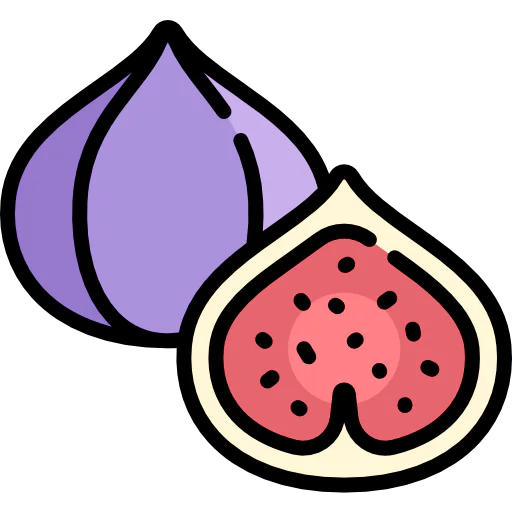 Fig icon