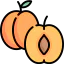 Apricot Ikona 64x64