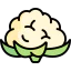 Cauliflower icon 64x64