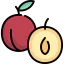 Plum Ikona 64x64