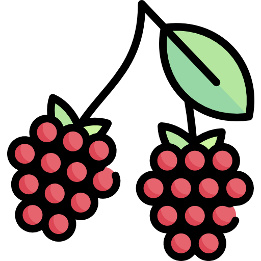 Raspberry Symbol