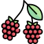 Raspberry ícono 64x64
