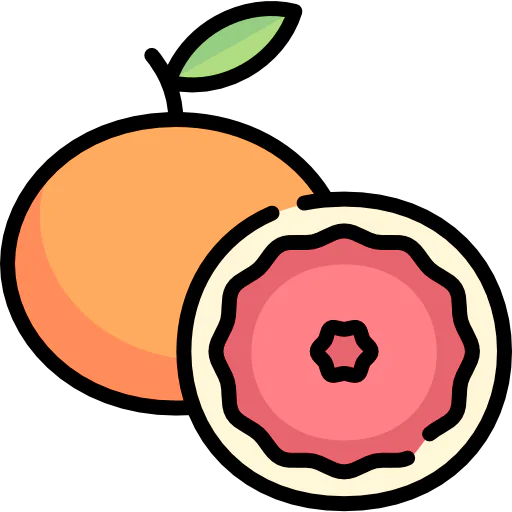 Grapefruit icon