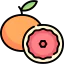 Grapefruit Ikona 64x64